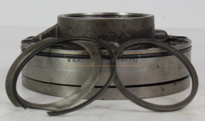 ZF pump, gear
