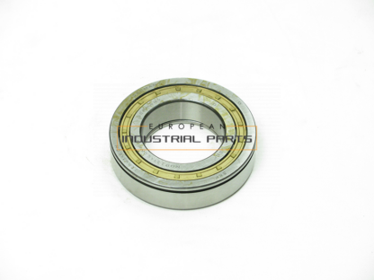 ZF roller bearing
