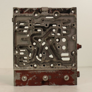 ZF brain