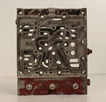 ZF brain