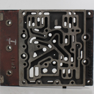ZF brain