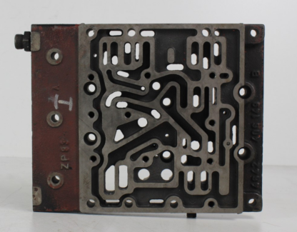 ZF brain