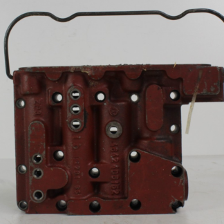 ZF brain