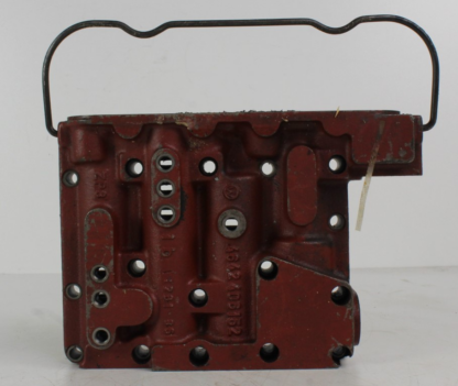 ZF brain