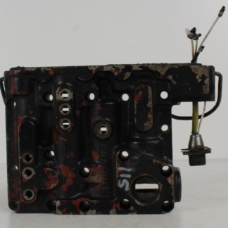 ZF brain