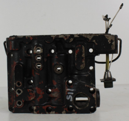 ZF brain