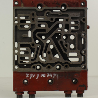 ZF brain