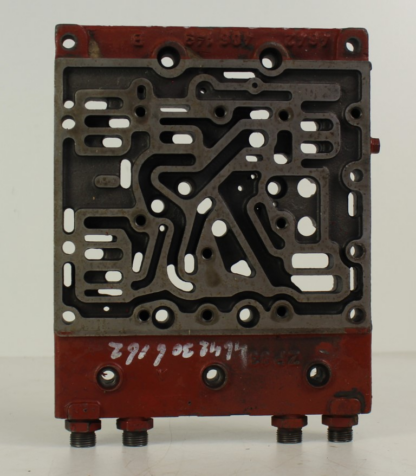 ZF brain