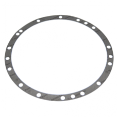 ZF gasket