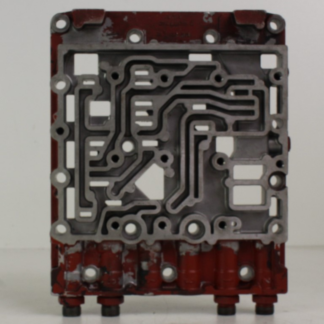 ZF brain
