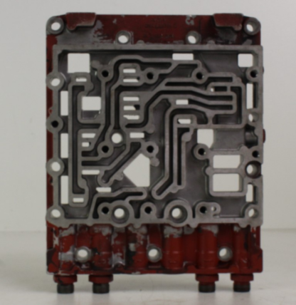 ZF brain