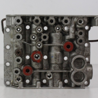 ZF brain