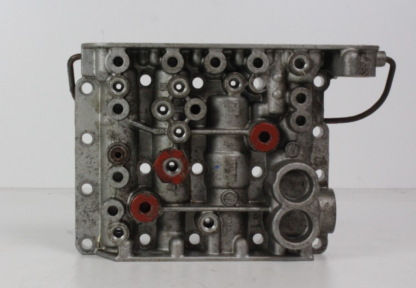 ZF brain