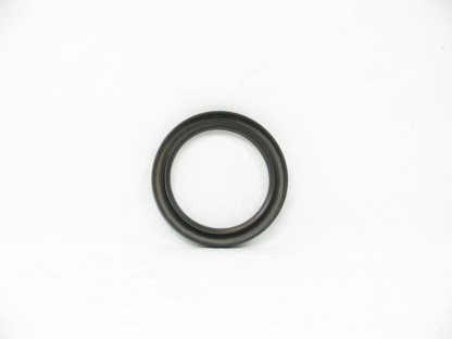 Demag seal ring