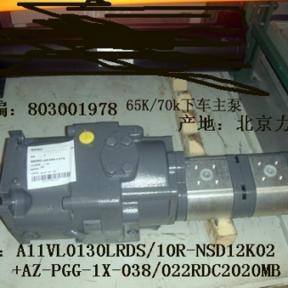 XCMG hydraulic pump rexroth (qy65k)